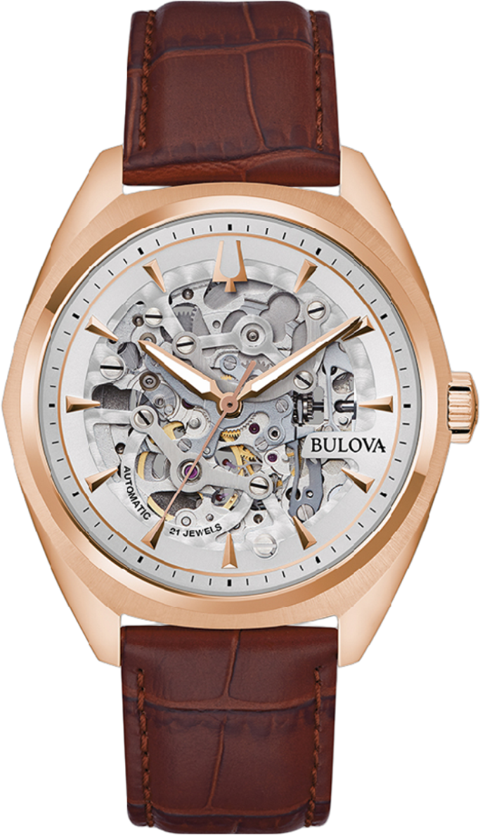 Bulova Surveyor