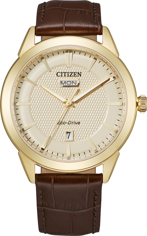 RELOGIO CITIZEN ROLAN