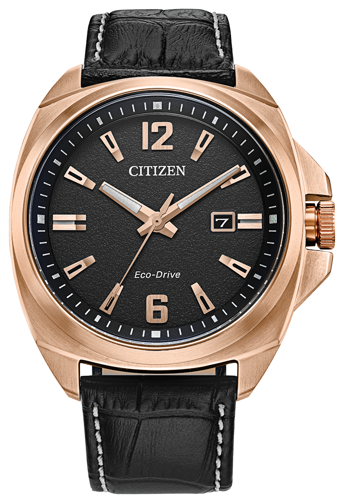RELOGIO CITIZEN ENDICOTT