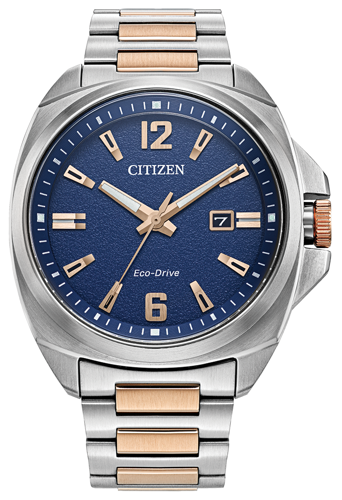 RELOGIO CITIZEN ENDICOTT