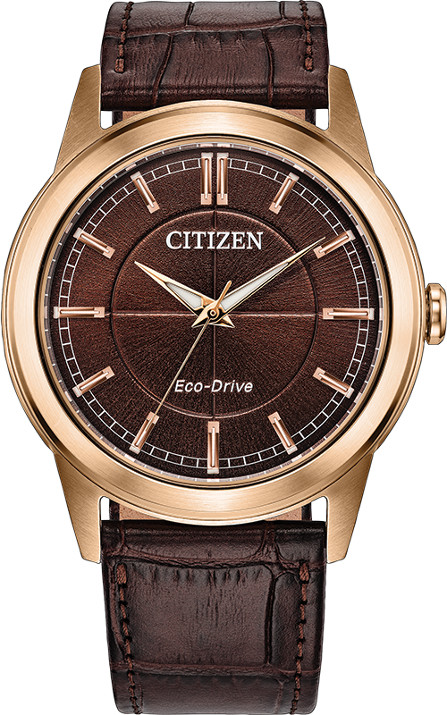 RELOGIO CITIZEN ROLAN
