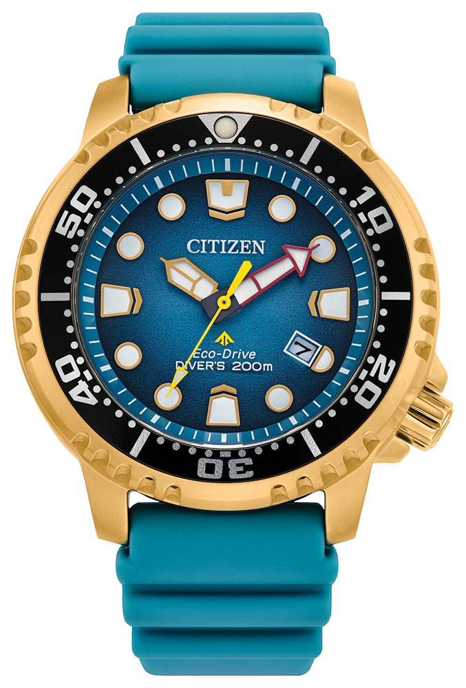 RELOGIO CITIZEN DIVE