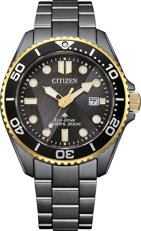 RELOGIO CITIZEN LIGHT IN BLACK