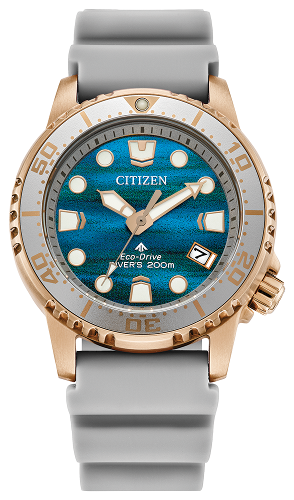 RELOGIO CITIZEN DIVE