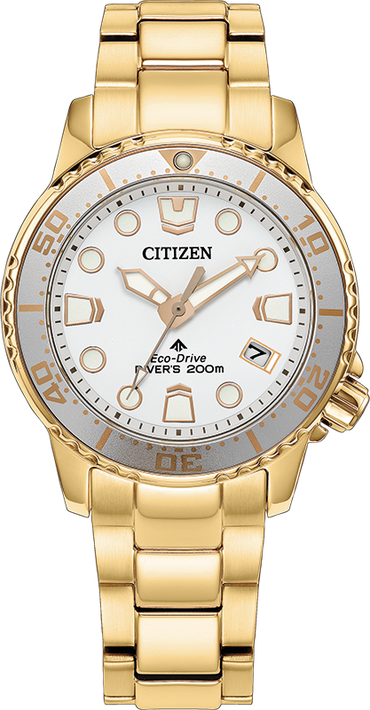 RELOGIO CITIZEN DIVE 3